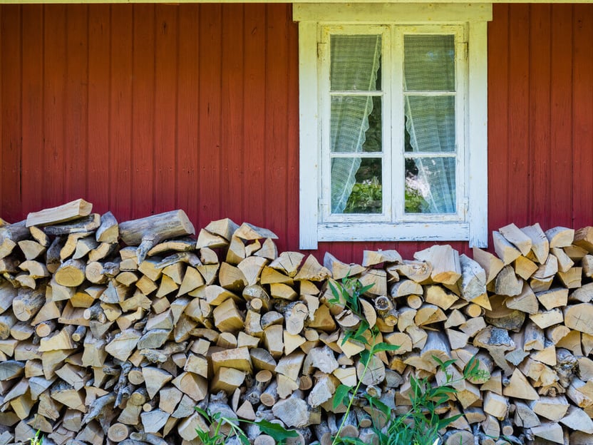 Firewood Stacked Against Home (1)