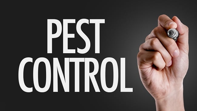Pest Control Forney, Texas