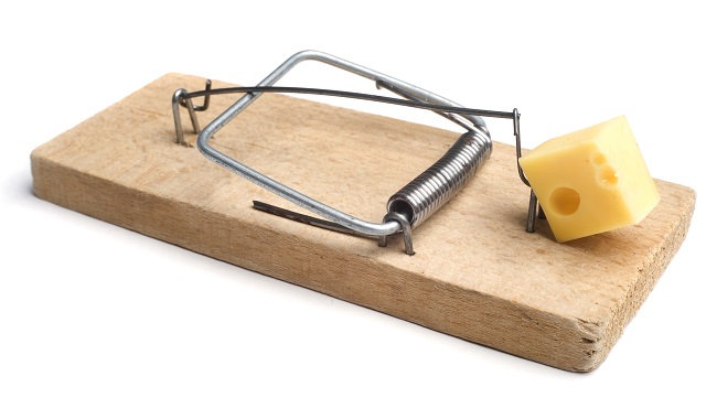 How to Know if You Have Mice